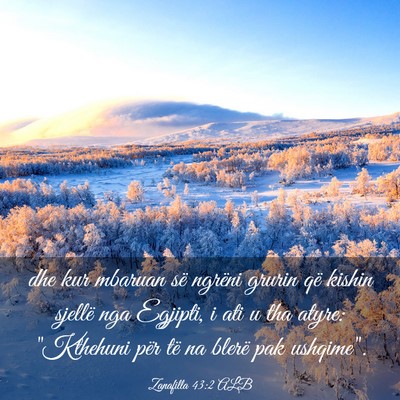 Picture 03 - Zanafilla 43:2 ALB - dhe kur mbaruan së ngrëni grurin që kishin - Bible Verse Picture