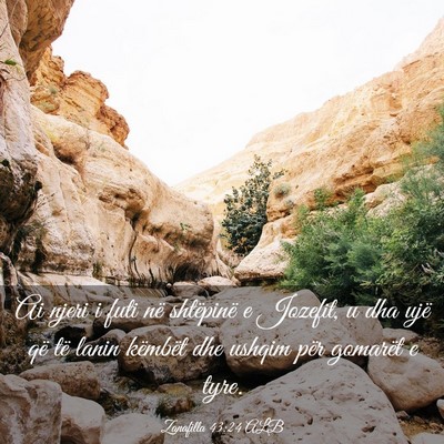 Picture 03 - Zanafilla 43:24 ALB - Ai njeri i futi në shtëpinë e Jozefit, u dha - Bible Verse Picture