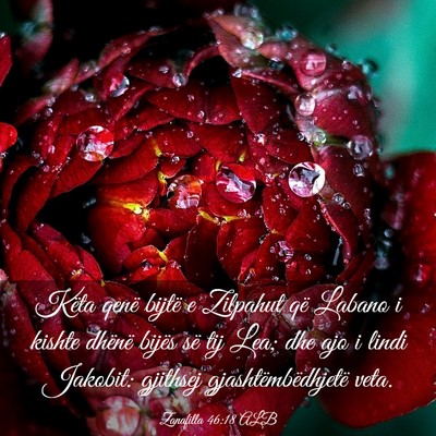 Picture 03 - Zanafilla 46:18 ALB - Këta qenë bijtë e Zilpahut që Labano i kishte - Bible Verse Picture