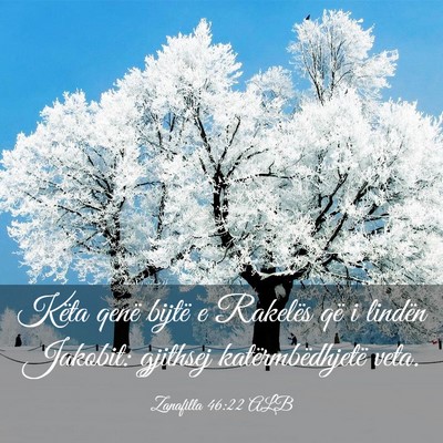 Picture 03 - Zanafilla 46:22 ALB - Këta qenë bijtë e Rakelës që i lindën - Bible Verse Picture