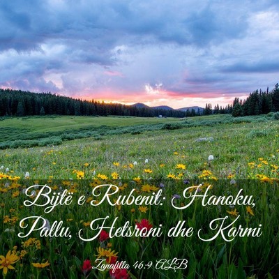 Picture 03 - Zanafilla 46:9 ALB - Bijtë e Rubenit: Hanoku, Pallu, Hetsroni dhe - Bible Verse Picture