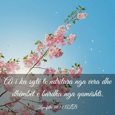 Picture 03 - Zanafilla 49:12 ALB - Ai i ka sytë të ndritura nga vera dhe dhëmbët - Bible Verse Picture