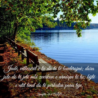 Picture 03 - Zanafilla 49:8 ALB - Judë, vëllezërit e tu do të të lavdërojnë; - Bible Verse Picture