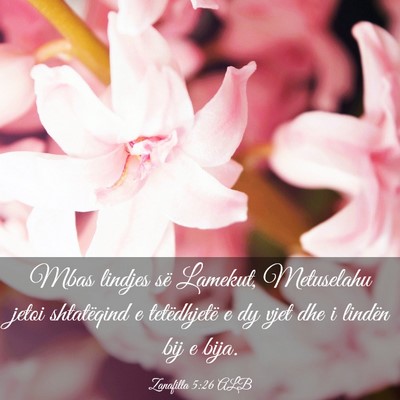 Picture 03 - Zanafilla 5:26 ALB - Mbas lindjes së Lamekut, Metuselahu jetoi - Bible Verse Picture