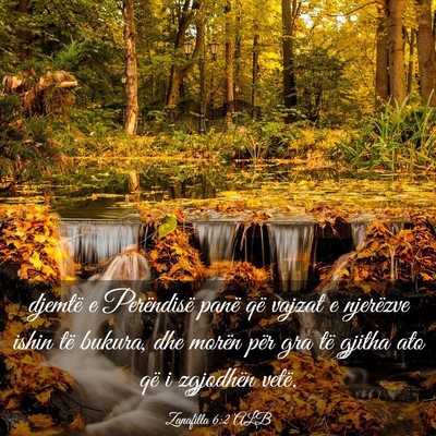 Picture 03 - Zanafilla 6:2 ALB - djemtë e Perëndisë panë që vajzat e - Bible Verse Picture