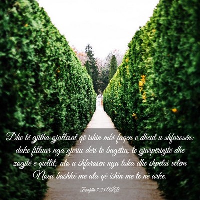 Picture 03 - Zanafilla 7:23 ALB - Dhe të gjitha gjallesat që ishin mbi faqen e - Bible Verse Picture