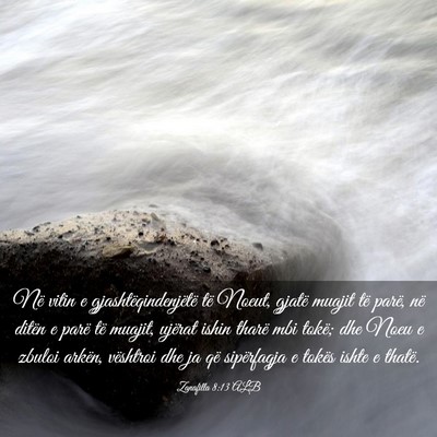 Picture 03 - Zanafilla 8:13 ALB - Në vitin e gjashtëqindenjëtë të Noeut, - Bible Verse Picture