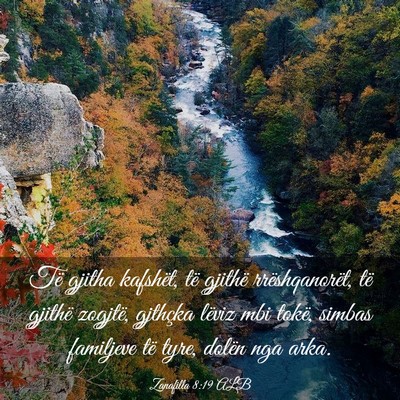 Picture 03 - Zanafilla 8:19 ALB - Të gjitha kafshët, të gjithë rrëshqanorët, - Bible Verse Picture