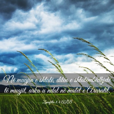 Picture 03 - Zanafilla 8:4 ALB - Në muajin e shtatë, ditën e shtatëmbëdhjetë - Bible Verse Picture