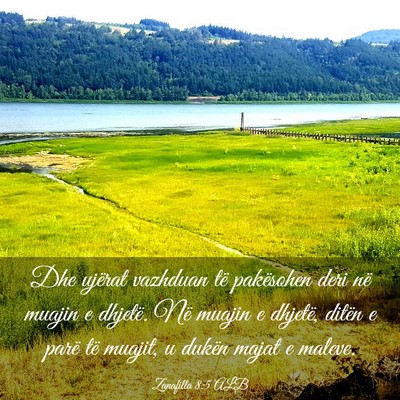 Picture 03 - Zanafilla 8:5 ALB - Dhe ujërat vazhduan të pakësohen deri në - Bible Verse Picture