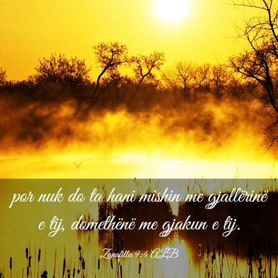 Picture 03 - Zanafilla 9:4 ALB - por nuk do ta hani mishin me gjallërinë e tij, - Bible Verse Picture