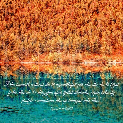Picture 03 - Zbulesa 11:10 ALB - Dhe banorët e dheut do të ngazëllojnë për - Bible Verse Picture
