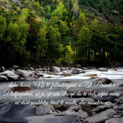 Picture 03 - Zbulesa 11:17 ALB - duke thënë: “Ne të falënderojmë, o Zot, - Bible Verse Picture