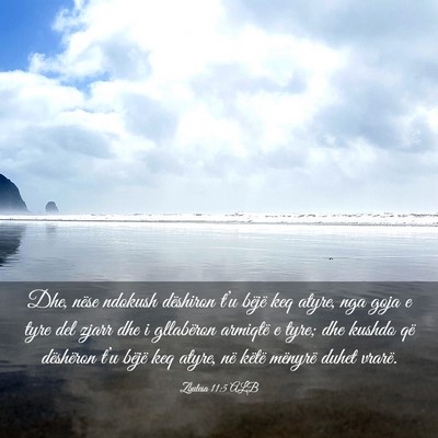 Picture 03 - Zbulesa 11:5 ALB - Dhe, nëse ndokush dëshiron t’u bëjë keq - Bible Verse Picture