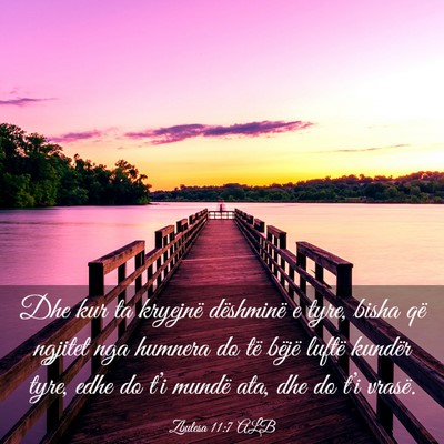 Picture 03 - Zbulesa 11:7 ALB - Dhe kur ta kryejnë dëshminë e tyre, bisha që - Bible Verse Picture