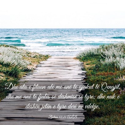 Picture 03 - Zbulesa 12:11 ALB - Dhe ata e fituan atë me anë të gjakut të - Bible Verse Picture