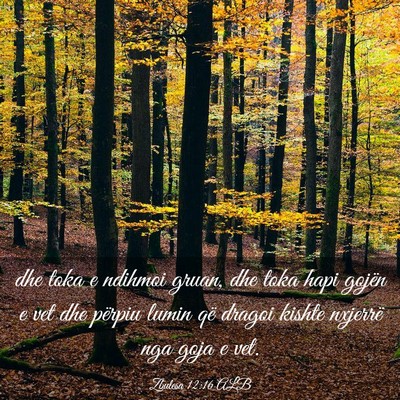 Picture 03 - Zbulesa 12:16 ALB - dhe toka e ndihmoi gruan, dhe toka hapi gojën e - Bible Verse Picture
