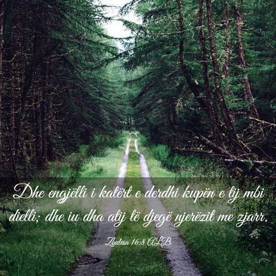 Picture 03 - Zbulesa 16:8 ALB - Dhe engjëlli i katërt e derdhi kupën e tij mbi - Bible Verse Picture