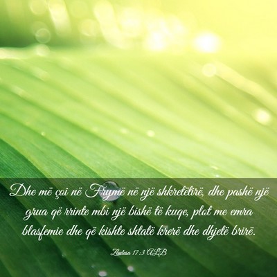 Picture 03 - Zbulesa 17:3 ALB - Dhe më çoi në Frymë në një shkretëtirë, - Bible Verse Picture