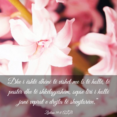 Picture 03 - Zbulesa 19:8 ALB - Dhe i është dhënë të vishet me li të - Bible Verse Picture