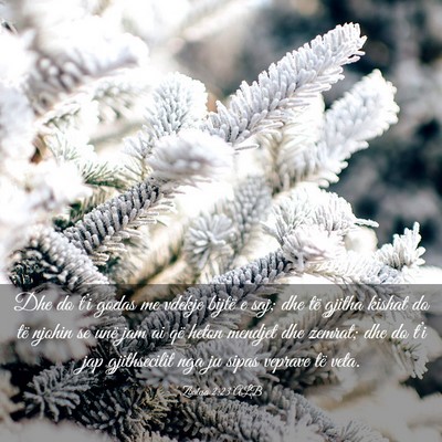 Picture 03 - Zbulesa 2:23 ALB - Dhe do t’i godas me vdekje bijtë e saj; dhe - Bible Verse Picture