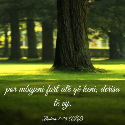 Picture 03 - Zbulesa 2:25 ALB - por mbajeni fort atë që keni, derisa të - Bible Verse Picture