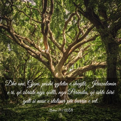 Picture 03 - Zbulesa 21:2 ALB - Dhe unë, Gjoni, pashë qytetin e shenjtë, - Bible Verse Picture