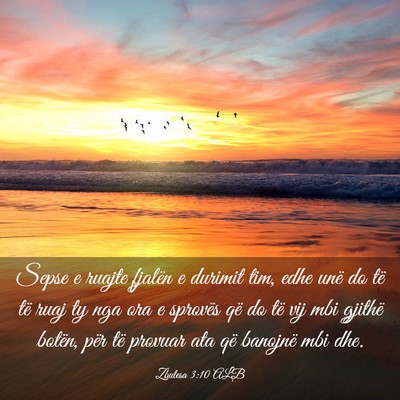 Picture 03 - Zbulesa 3:10 ALB - Sepse e ruajte fjalën e durimit tim, edhe unë - Bible Verse Picture