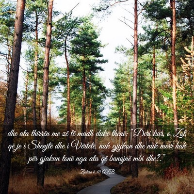Picture 03 - Zbulesa 6:10 ALB - dhe ata thirrën me zë të madh duke thënë: - Bible Verse Picture