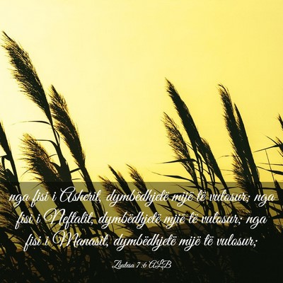 Picture 03 - Zbulesa 7:6 ALB - nga fisi i Asherit, dymbëdhjetë mijë të - Bible Verse Picture