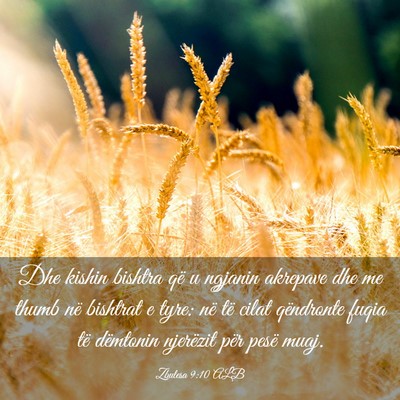 Picture 03 - Zbulesa 9:10 ALB - Dhe kishin bishtra që u ngjanin akrepave dhe me - Bible Verse Picture