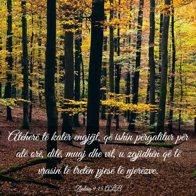 Picture 03 - Zbulesa 9:15 ALB - Atëherë të katër engjëjt, që ishin - Bible Verse Picture