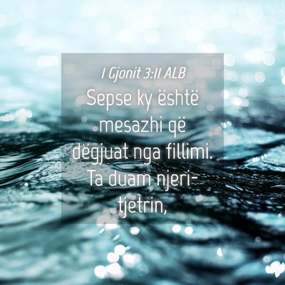 Picture 04 - 1 Gjonit 3:11 ALB - Sepse ky është mesazhi që dëgjuat nga - Bible Verse Picture