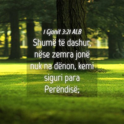 Picture 04 - 1 Gjonit 3:21 ALB - Shumë të dashur, nëse zemra jonë nuk na - Bible Verse Picture