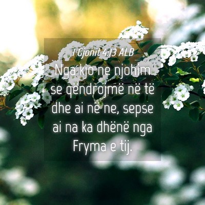 Picture 04 - 1 Gjonit 4:13 ALB - Nga kjo ne njohim se qëndrojmë në të dhe ai - Bible Verse Picture