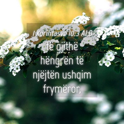 Picture 04 - 1 Korintasve 10:3 ALB - të gjithë hëngrën të njëjtën ushqim - Bible Verse Picture