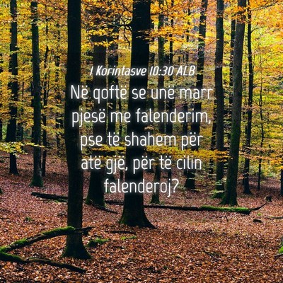 Picture 04 - 1 Korintasve 10:30 ALB - Në qoftë se unë marr pjesë me falenderim, pse - Bible Verse Picture