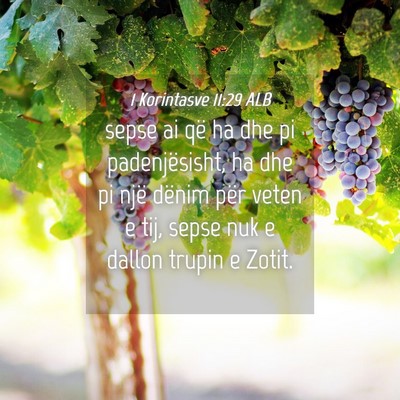 Picture 04 - 1 Korintasve 11:29 ALB - sepse ai që ha dhe pi padenjësisht, ha dhe pi - Bible Verse Picture