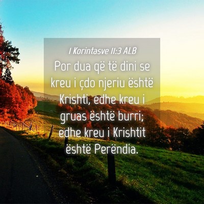 Picture 04 - 1 Korintasve 11:3 ALB - Por dua që të dini se kreu i çdo njeriu - Bible Verse Picture