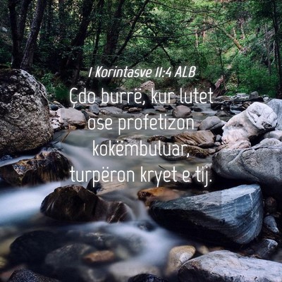 Picture 04 - 1 Korintasve 11:4 ALB - Çdo burrë, kur lutet ose profetizon - Bible Verse Picture
