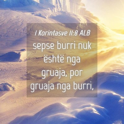 Picture 04 - 1 Korintasve 11:8 ALB - sepse burri nuk është nga gruaja, por gruaja - Bible Verse Picture