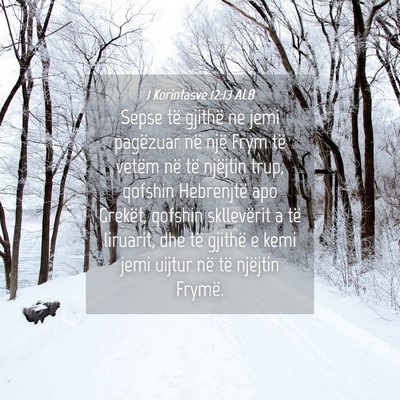 Picture 04 - 1 Korintasve 12:13 ALB - Sepse të gjithë ne jemi pagëzuar në një Frym - Bible Verse Picture