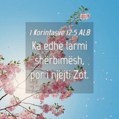Picture 04 - 1 Korintasve 12:5 ALB - Ka edhe larmi shërbimësh, por i njëjti - Bible Verse Picture