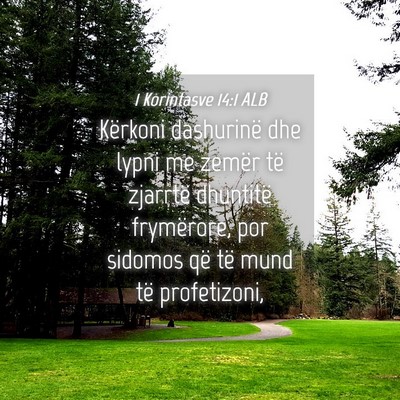 Picture 04 - 1 Korintasve 14:1 ALB - Kërkoni dashurinë dhe lypni me zemër të - Bible Verse Picture