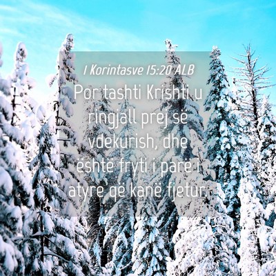 Picture 04 - 1 Korintasve 15:20 ALB - Por tashti Krishti u ringjall prej së vdekurish, - Bible Verse Picture