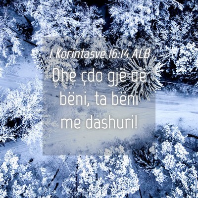 Picture 04 - 1 Korintasve 16:14 ALB - Dhe çdo gjë që bëni, ta bëni me - Bible Verse Picture