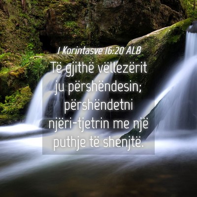 Picture 04 - 1 Korintasve 16:20 ALB - Të gjithë vëllezërit ju përshëndesin; - Bible Verse Picture