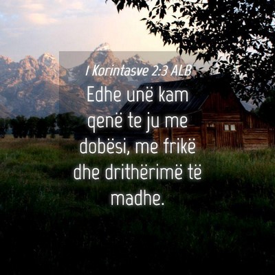 Picture 04 - 1 Korintasve 2:3 ALB - Edhe unë kam qenë te ju me dobësi, me frikë - Bible Verse Picture