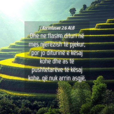 Picture 04 - 1 Korintasve 2:6 ALB - Dhe ne flasim dituri në mes njerëzish të - Bible Verse Picture