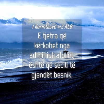 Picture 04 - 1 Korintasve 4:2 ALB - E tjetra që kërkohet nga administratorët, - Bible Verse Picture